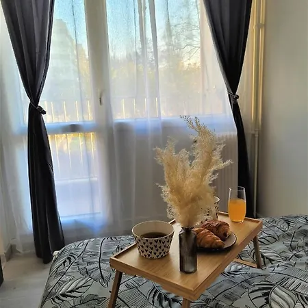 Apartment Splendide Proche Paris & Orly *